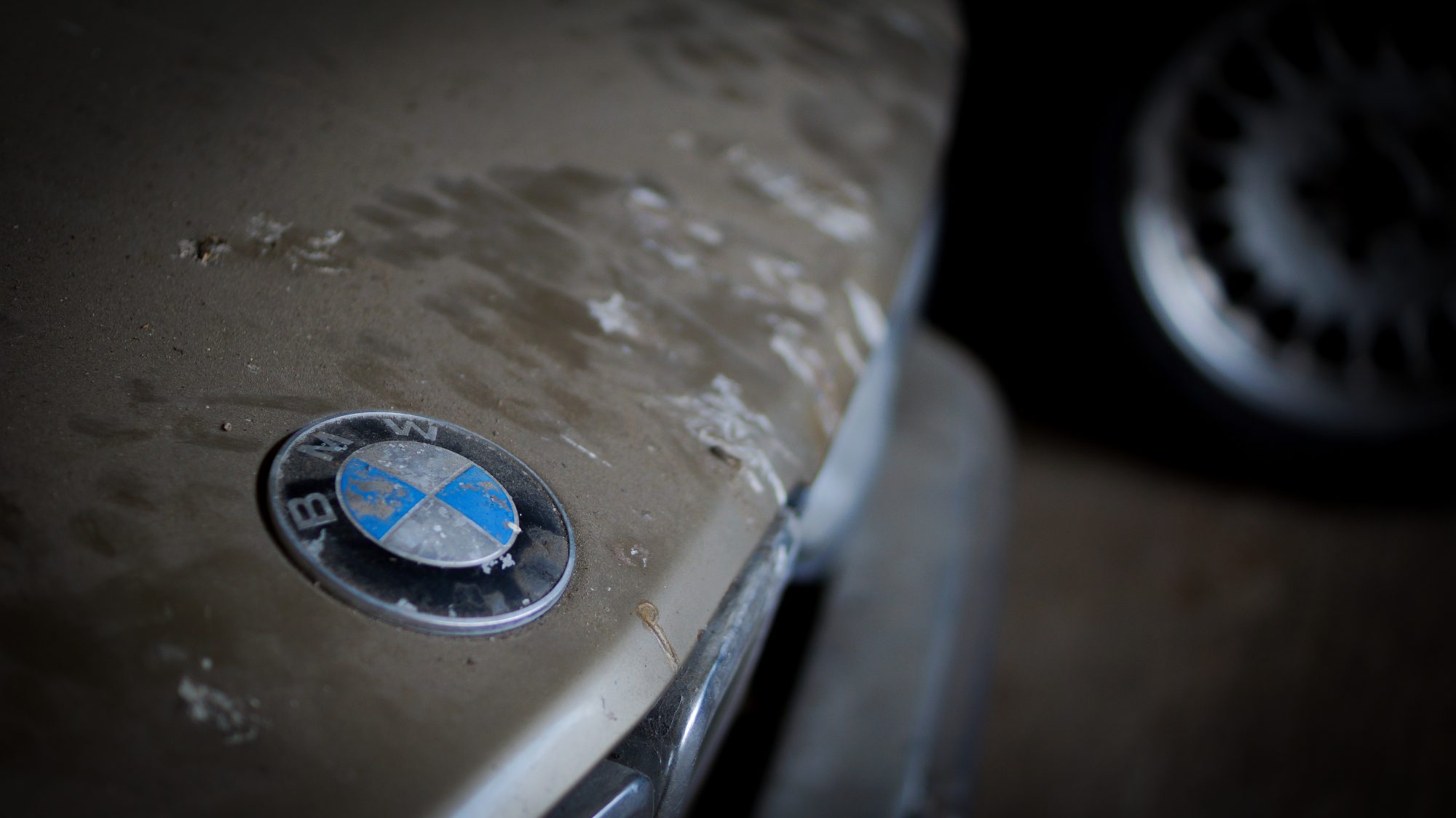 BMW, BMW E28, 520, 525e, 528i, M535i, M5, classic BMW, Barn find, BMW badge